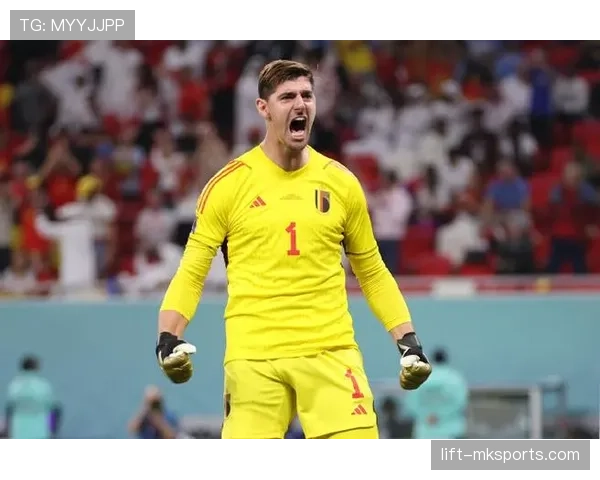 库尔图瓦FIFA最佳阵容